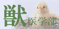 �b��w���󌱉ƒ닳�t
